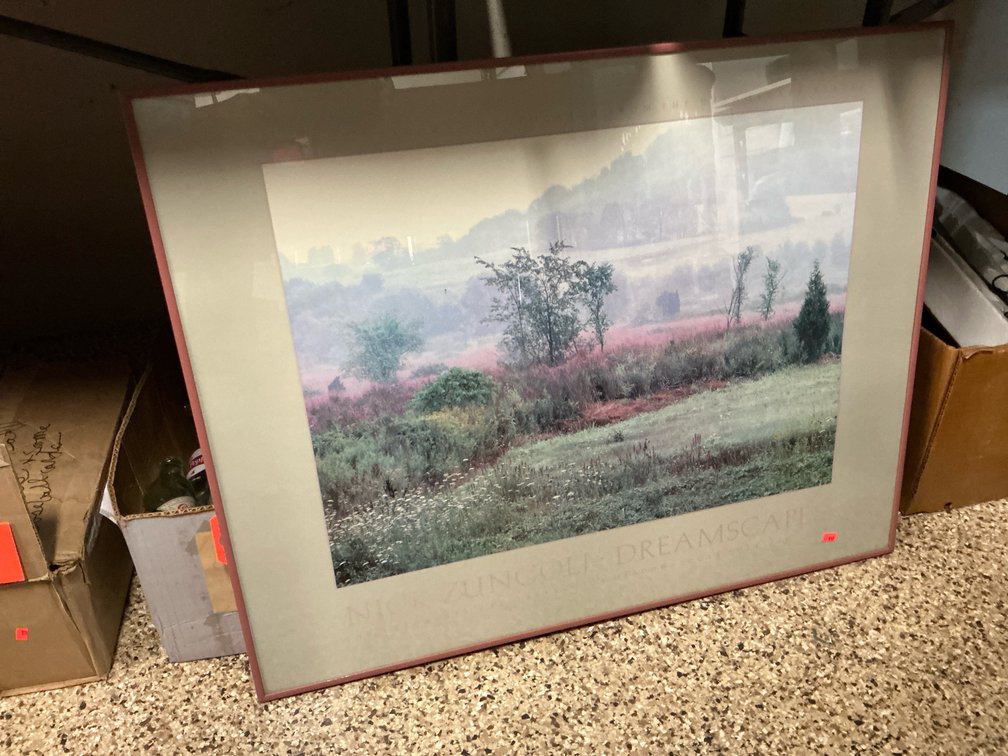 Nick Zungoli "Dreamscapes" framed art print