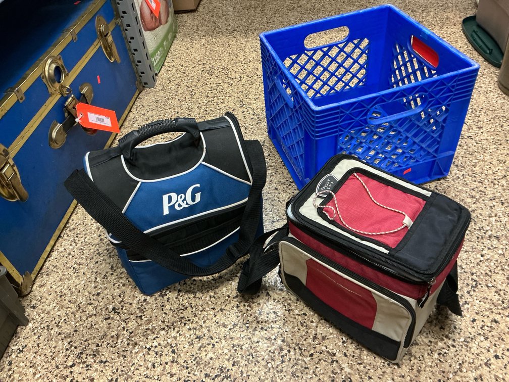 2 soft-sided cooler bags with shoulder straps