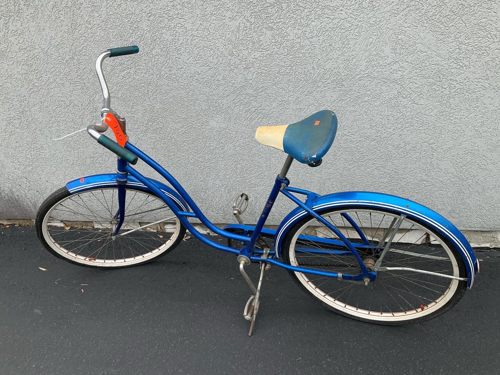 Skyrider blue step-through cruiser bicycle