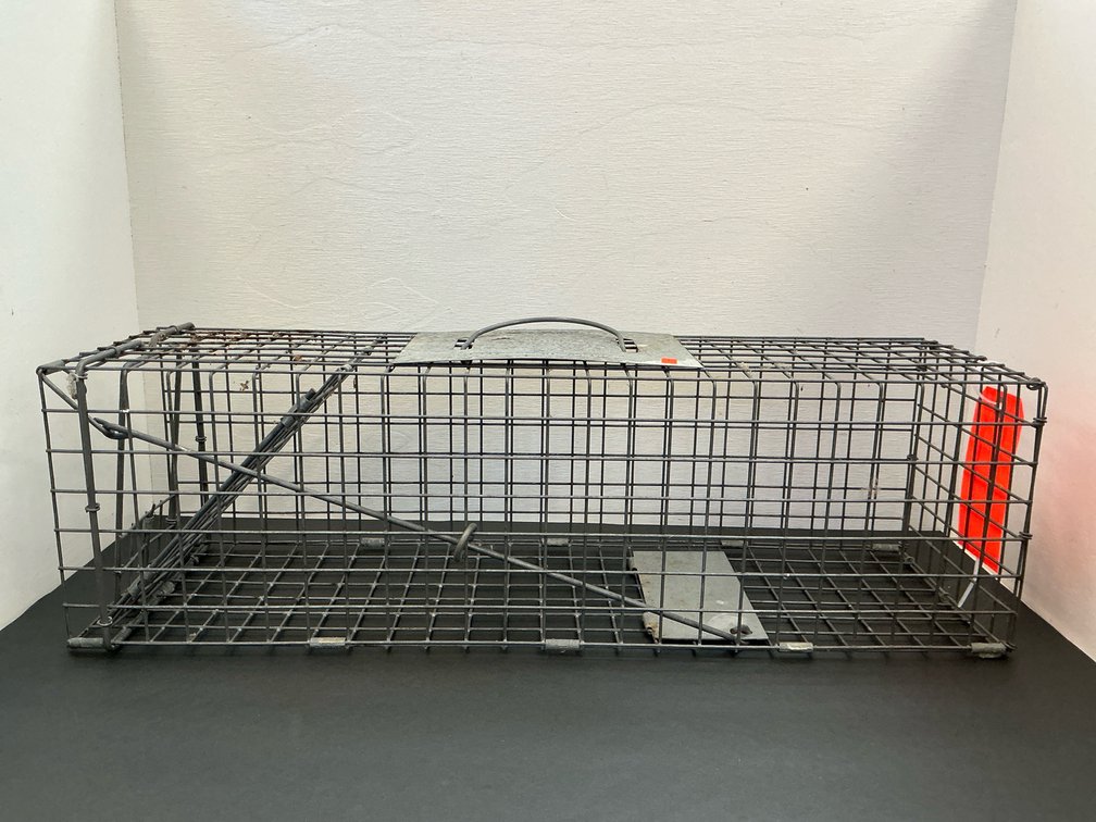 wire mesh live animal trap