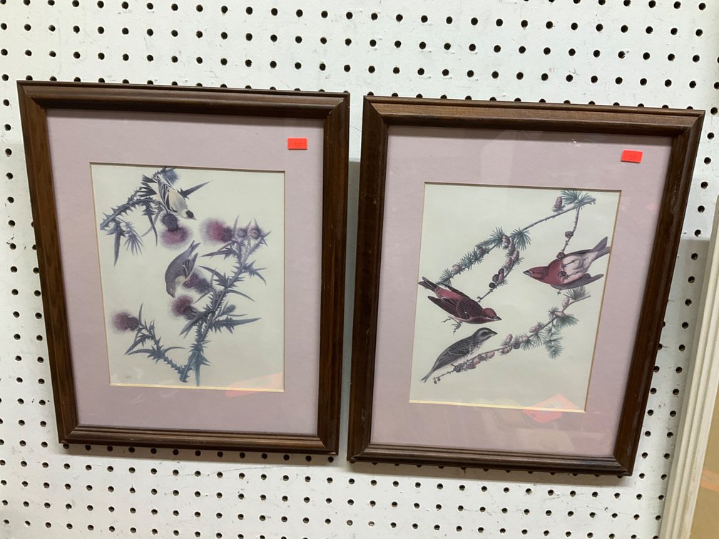 Pair of framed bird prints in wood frames 13x16