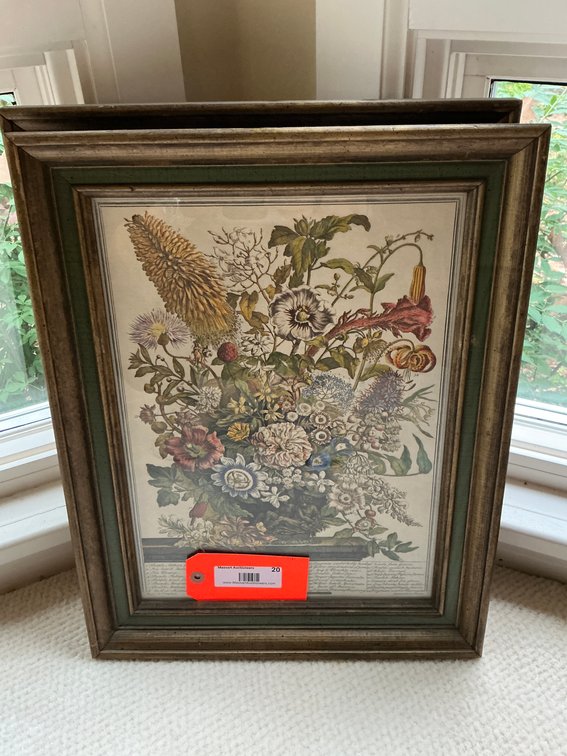 Pieter Casteels framed May botanical print - Den Main Level