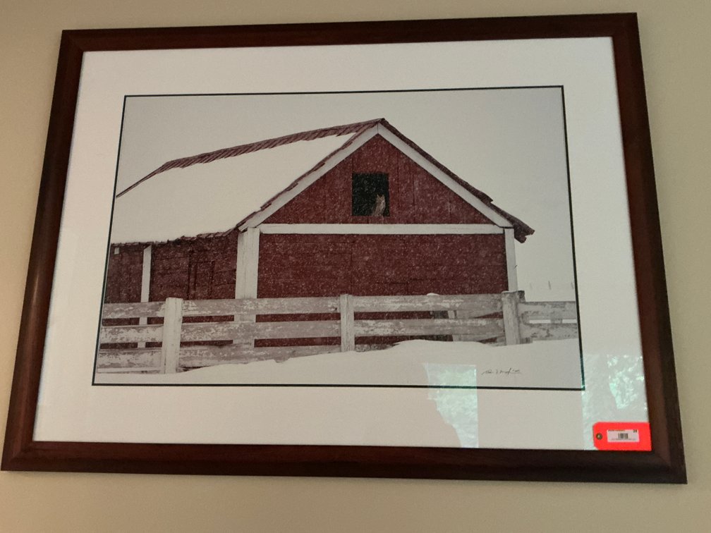 Thomas D. Mangelsen framed photograph Shelter from the Storm - Den Main Level