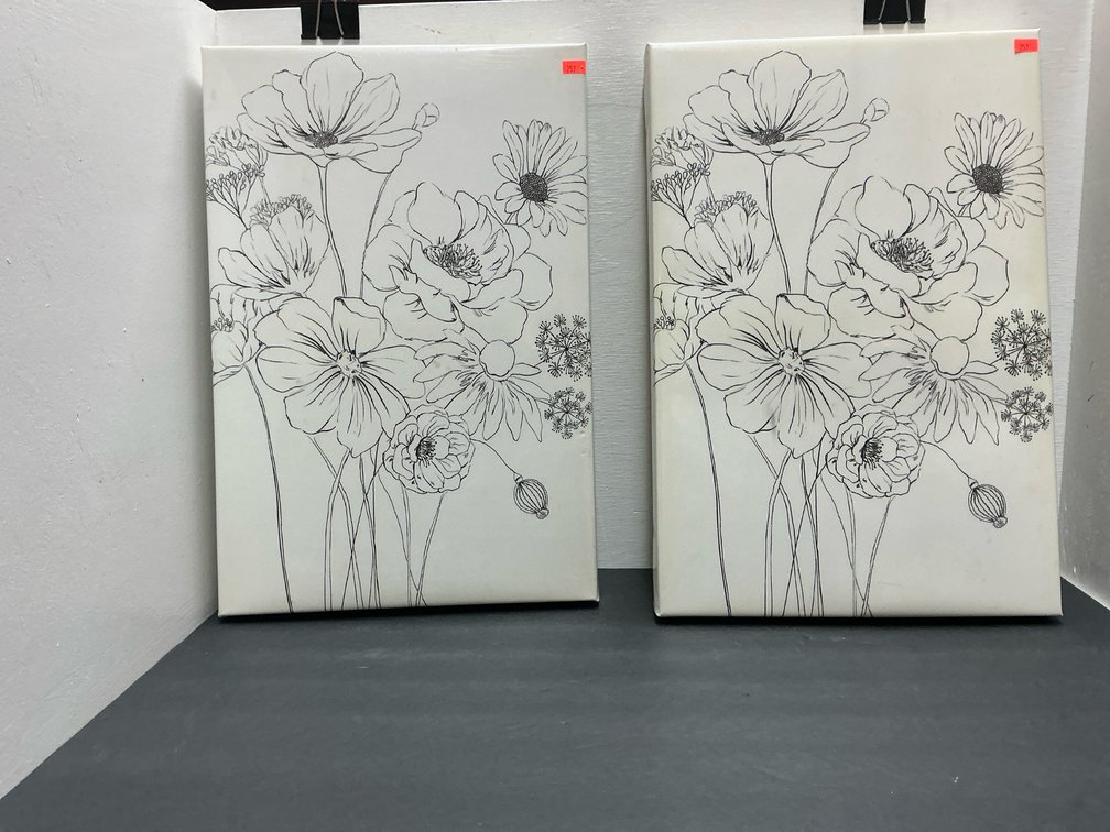 Pair of botanical line art stretched canvas prints