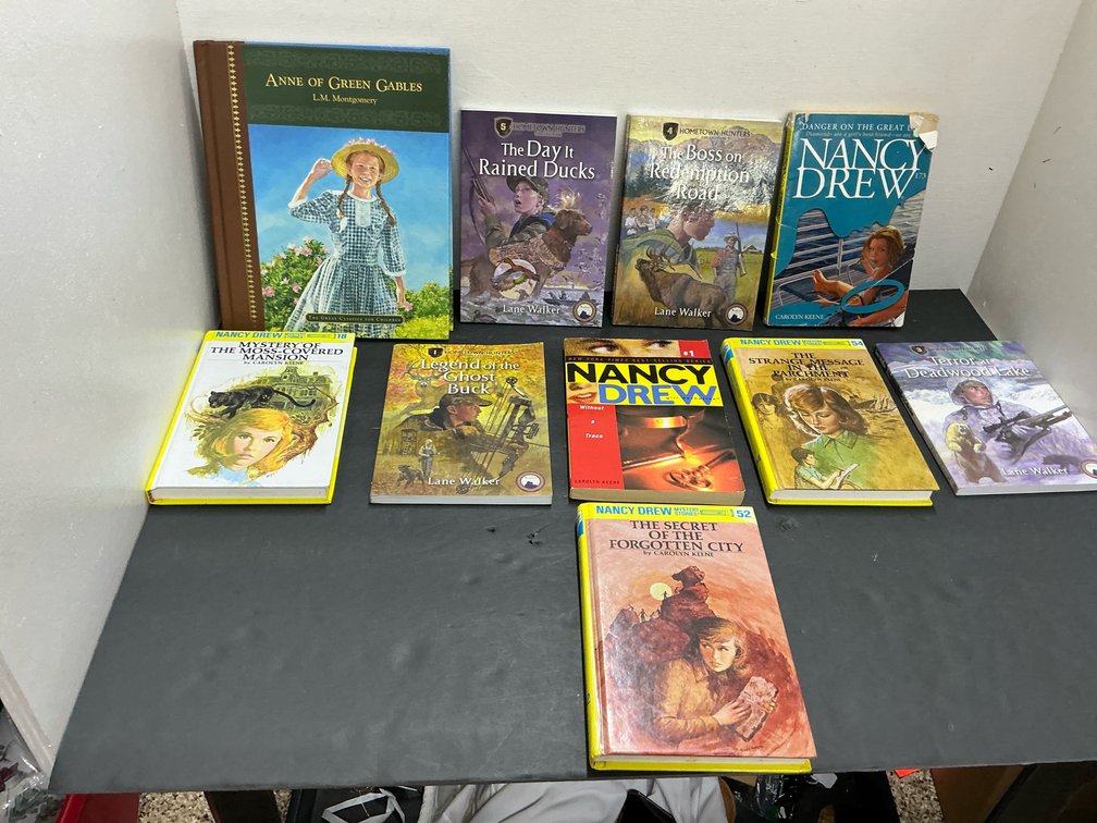 Group of children's books with Nancy Drew & Hometown Hunters