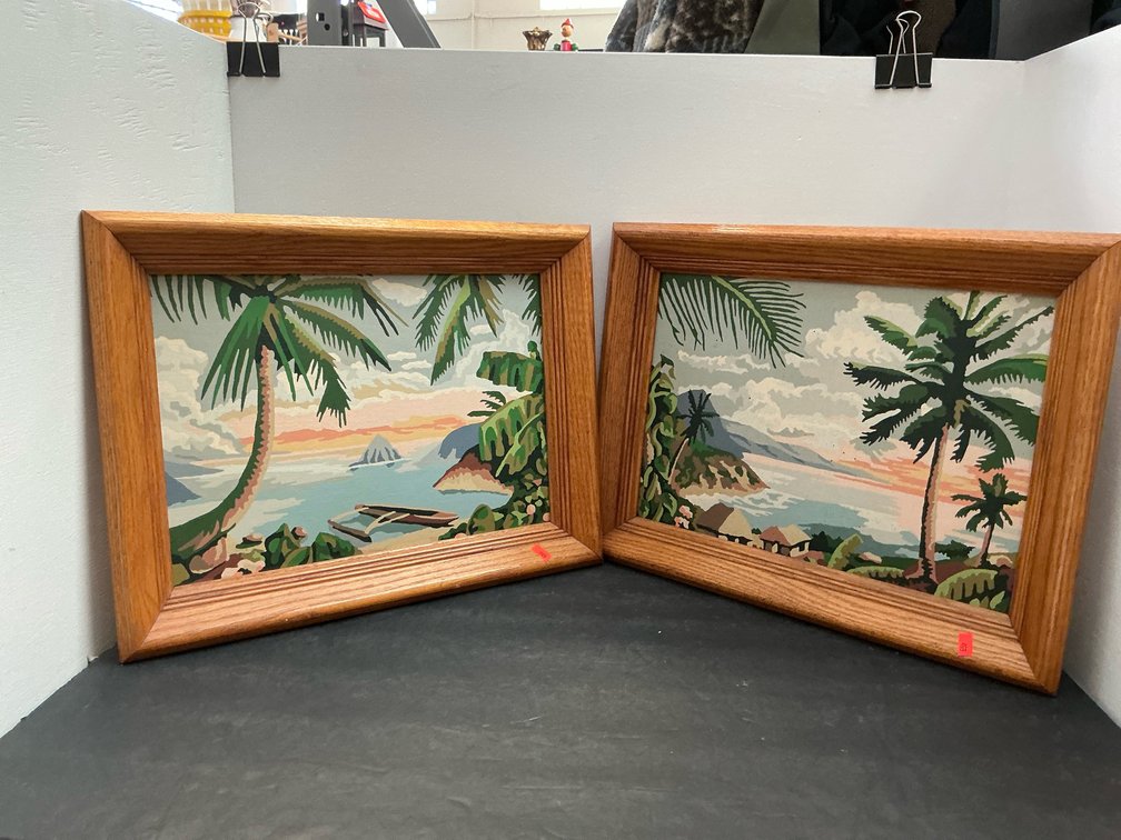 Pair of tropical landscape paint-by-number paintings
