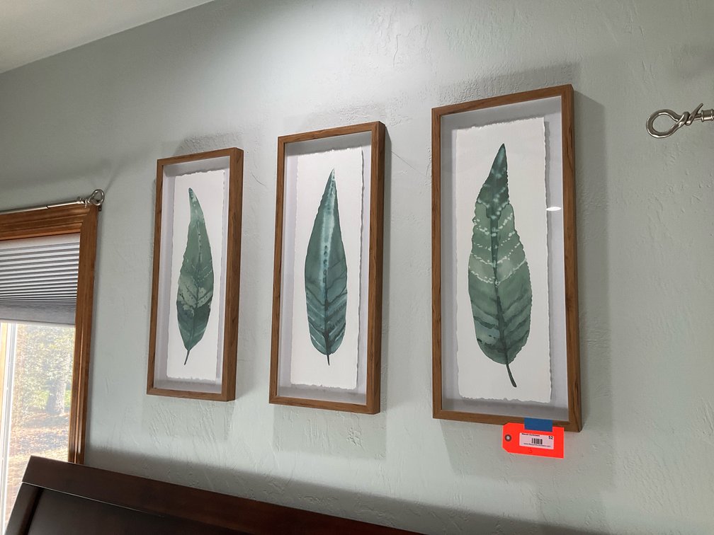 Set of 3 botanical leaf prints in wood shadowbox frames - Master Bedroom