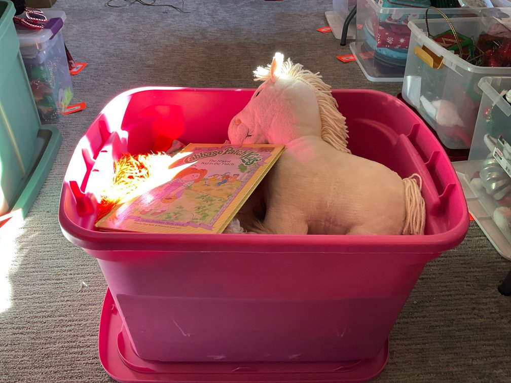 Cabbage Patch Kids dolls, plush pony, book & accessories - Basement Living & Bar Area