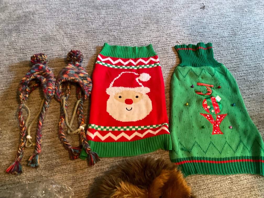 Assorted pet costumes, sweaters & accessories - Basement Living & Bar Area