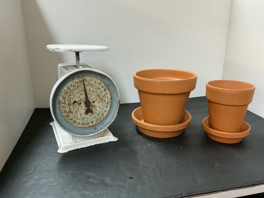 Nursery scale with 2 terracotta pots & saucers