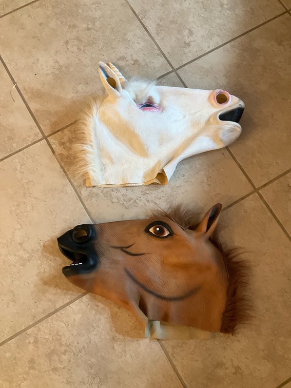 2 novelty horse & unicorn head masks - Basement Living & Bar Area