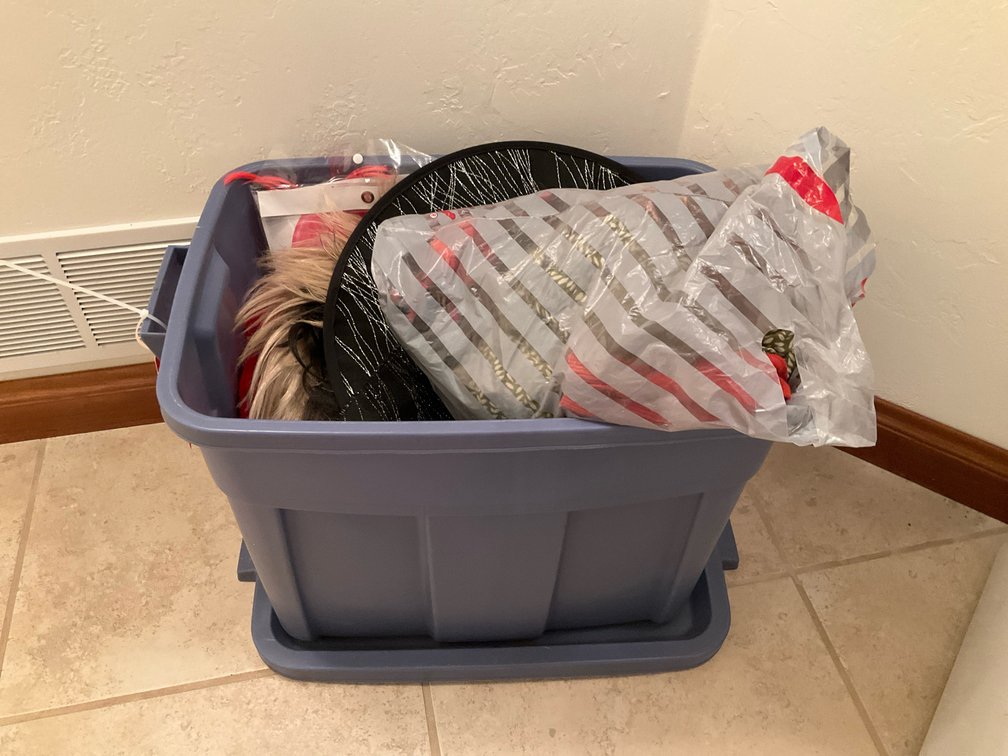 Grouping of Halloween costumes, wigs & accessories - Basement Hallway