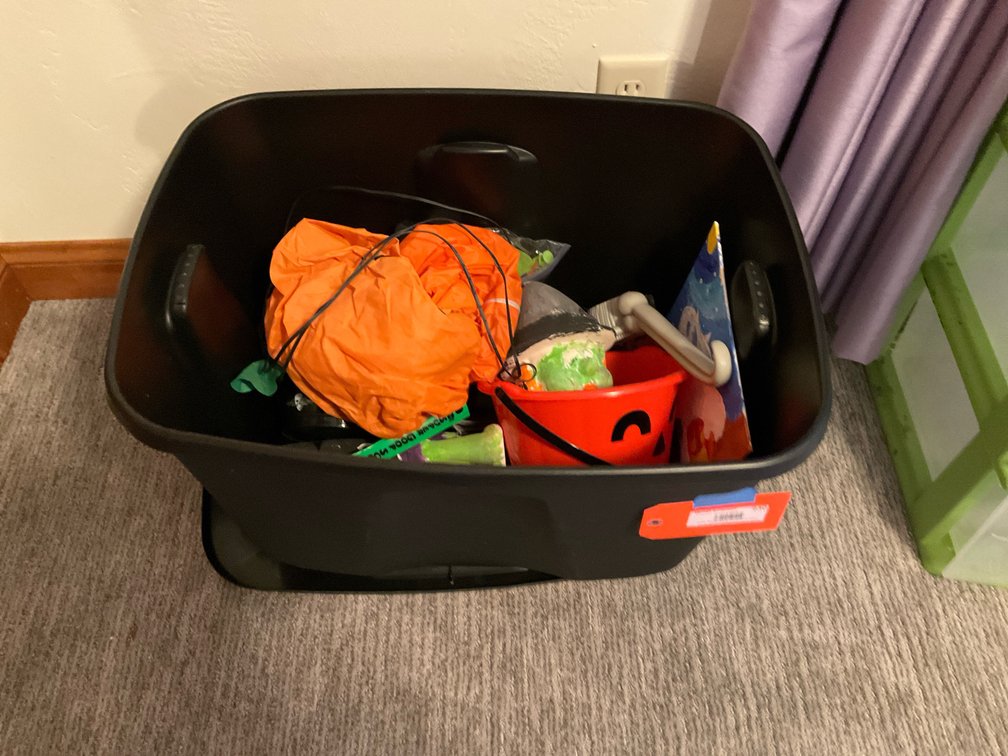 Assorted Halloween decorations with storage tote - Basement Bedroom