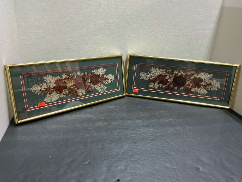 Pair of framed pressed flower arrangements