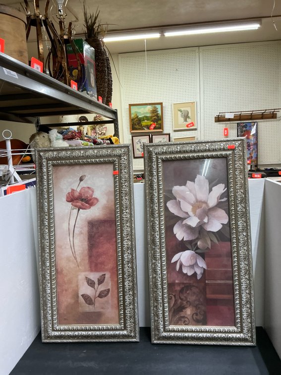 Pair of ornate framed floral art prints