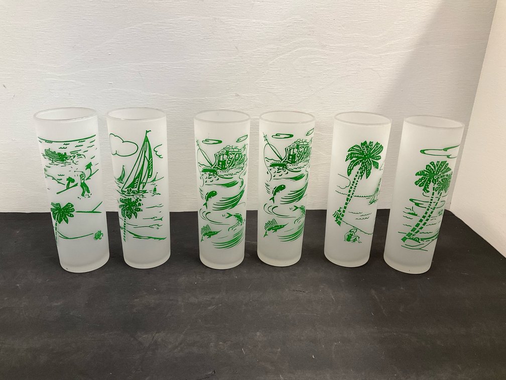 6 frosted glass tumblers with green coastal scenes