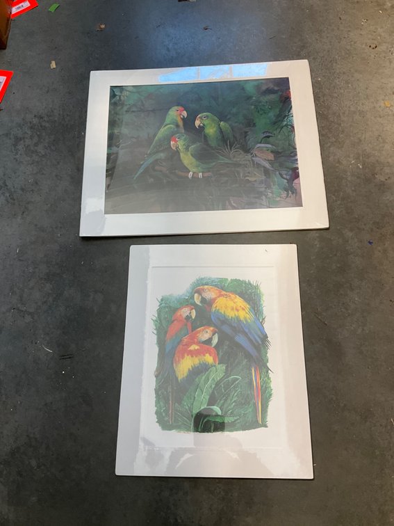 Pair of Elsie Prather matted parrot prints