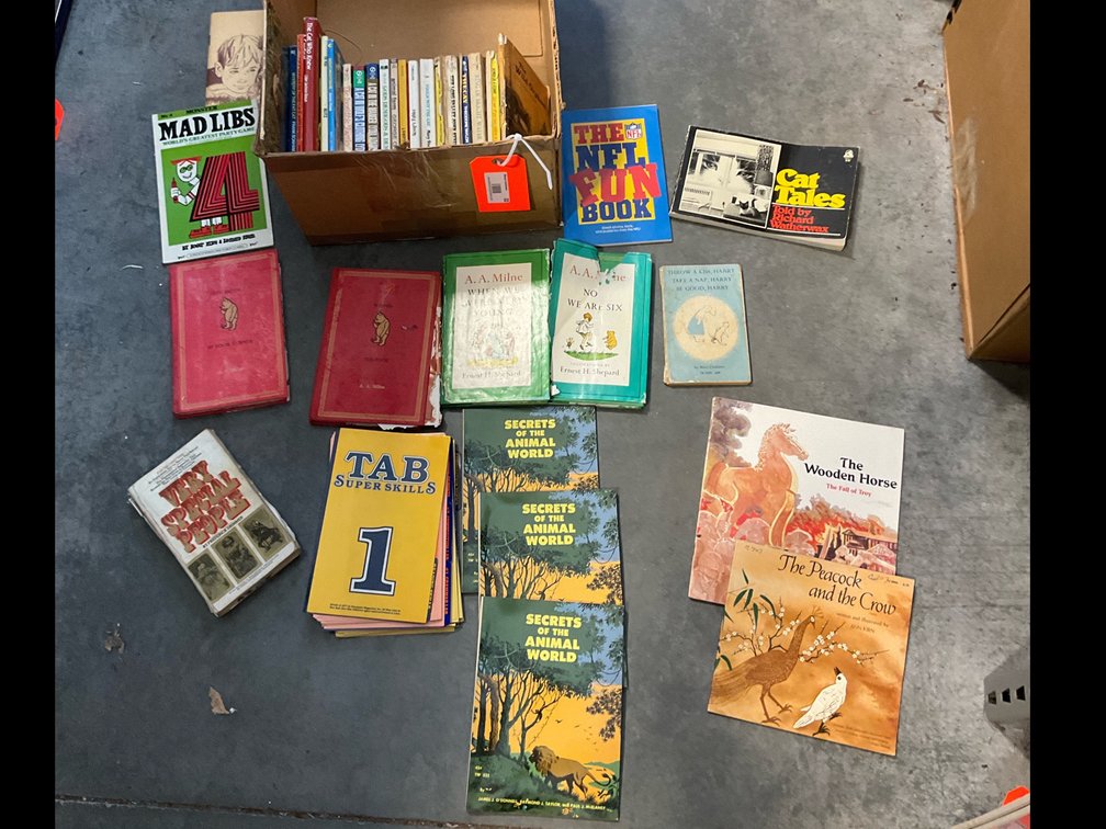 Grouping of children's & fiction books