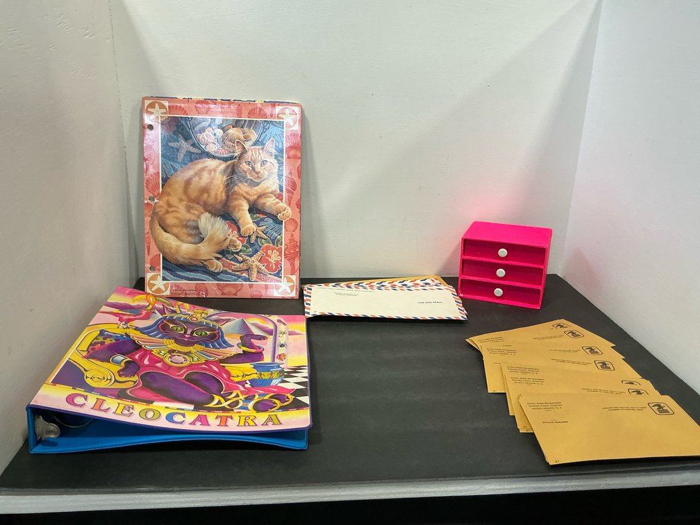Desk supplies with Cleocatra binder, clipboards & mini chest