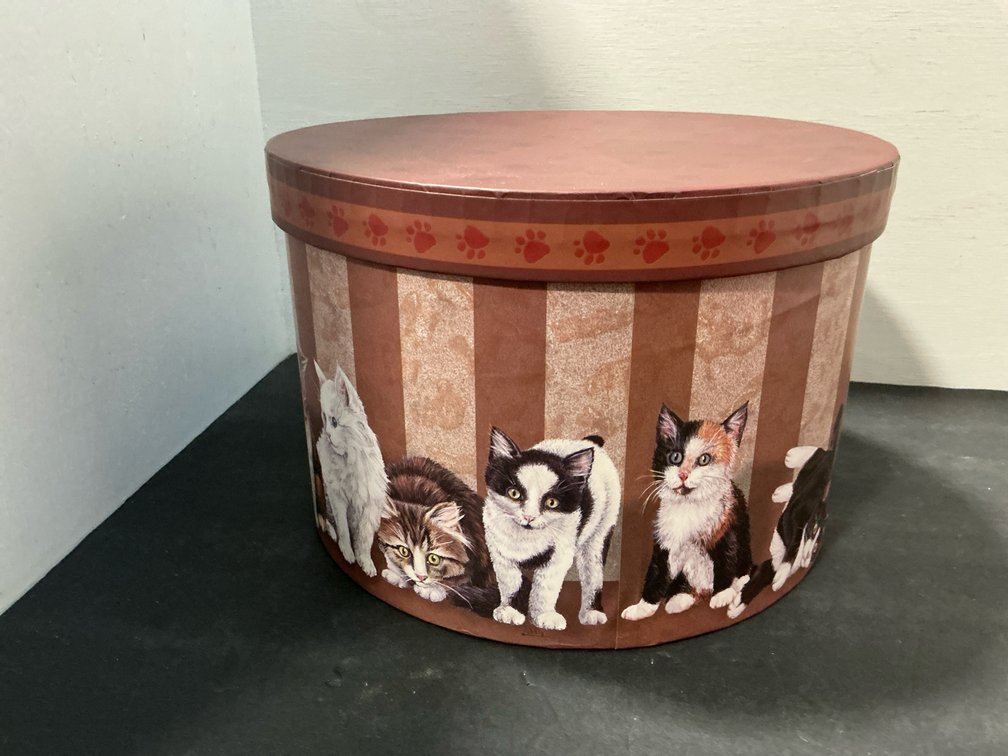 Set of round cat-themed nesting boxes with lids