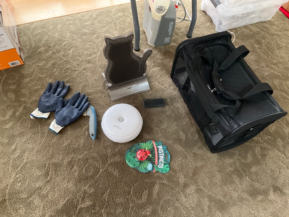 Soft-sided pet carrier with cat toys & grooming supplies - Living Room Main Level