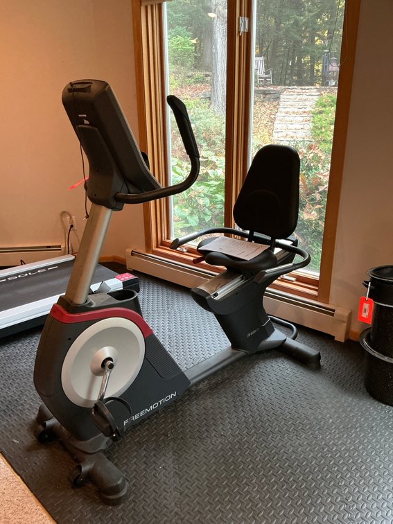 FreeMotion 310R recumbent exercise bike - Basement