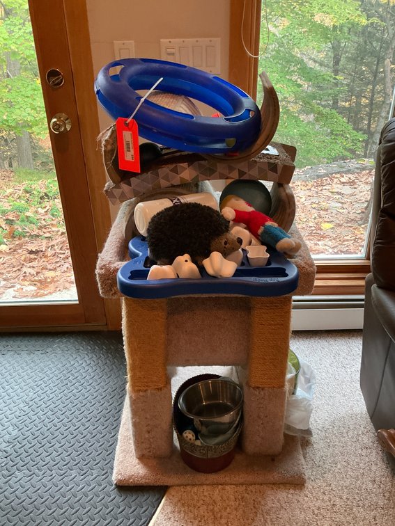 Carpeted cat tree with pet toys & accessories - Basement