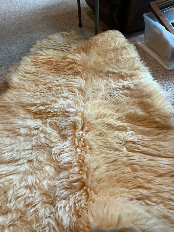Bowron New Zealand cream sheepskin rug 68 x 46 - Basement