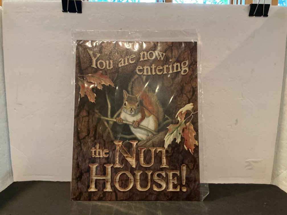 Wild Wings squirrel novelty metal wall sign. 12 x 16. - Basement