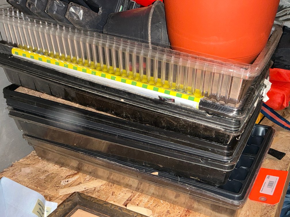 Seed starting trays, humidity domes & planter pot - Basement