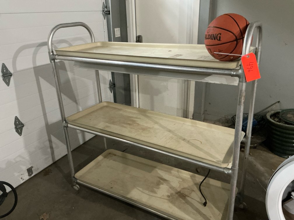 3-tier rolling grow cart with light & Spalding basketball - Garage