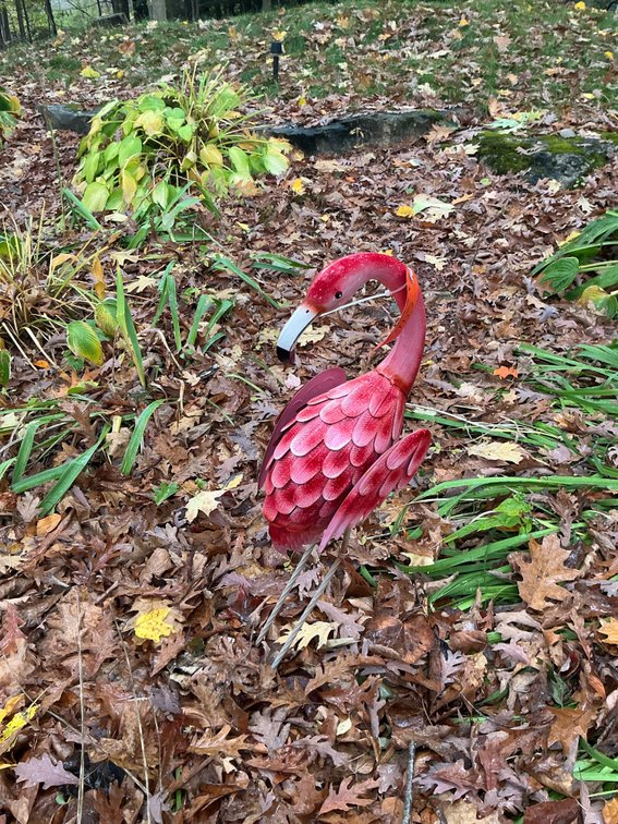 Pink painted metal flamingo garden sculptures 36” tall - Outside
