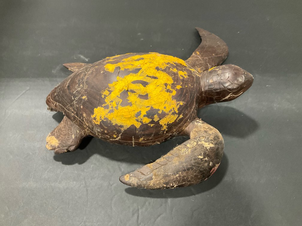Carved dark wood sea turtle sculpture