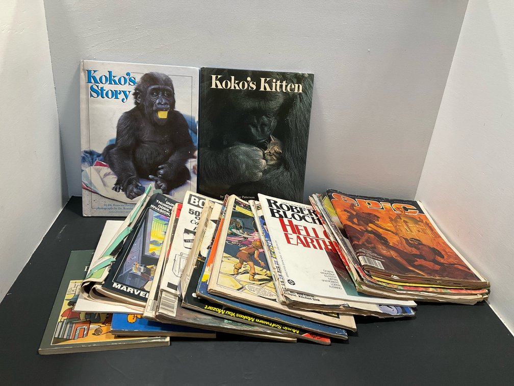 Grouping of comic books, magazines & children's books