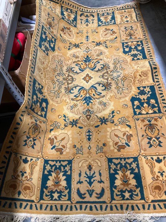 Fringed woven area rug in mustard yellow & teal
