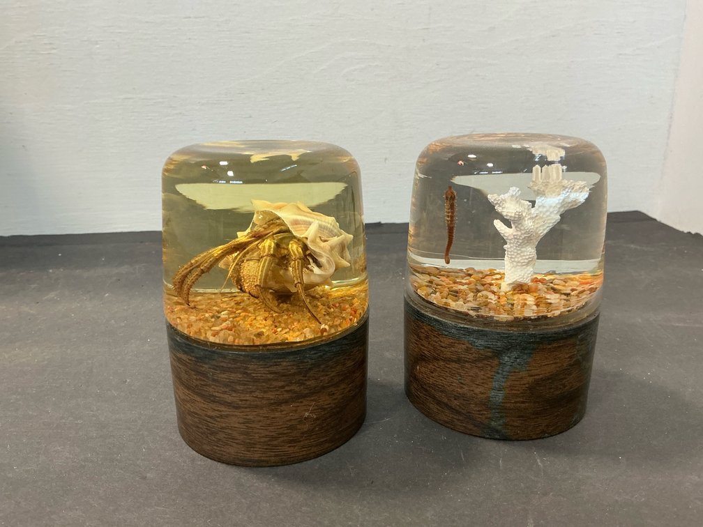 Pair of Nature Gems resin sea life paperweights