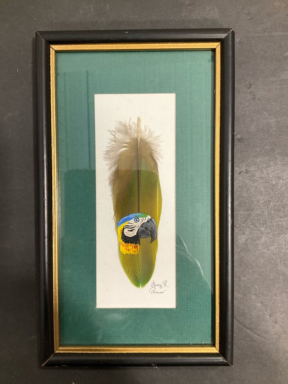 Framed painted feather macaw artwork