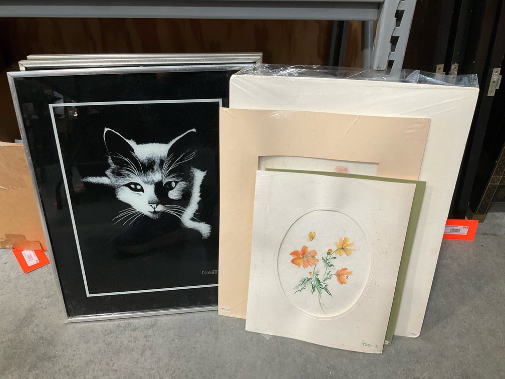 Framed cat prints & matted watercolor paintings