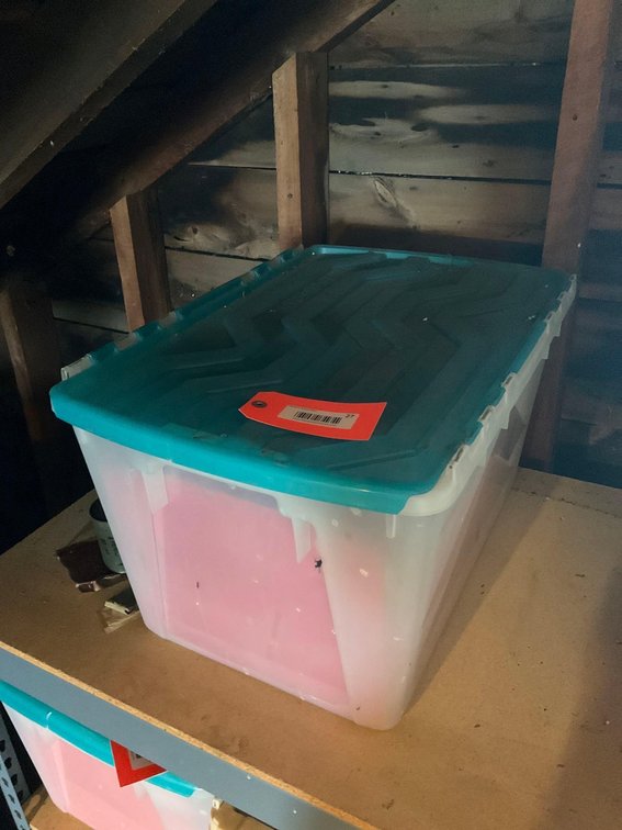 Covered tote & assorted binders-Attic