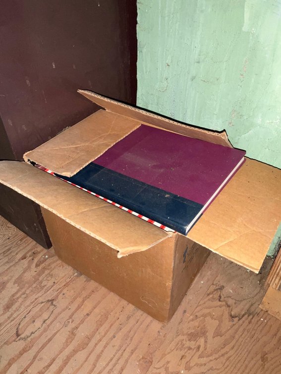 Box of Do it yourself books-Attic 