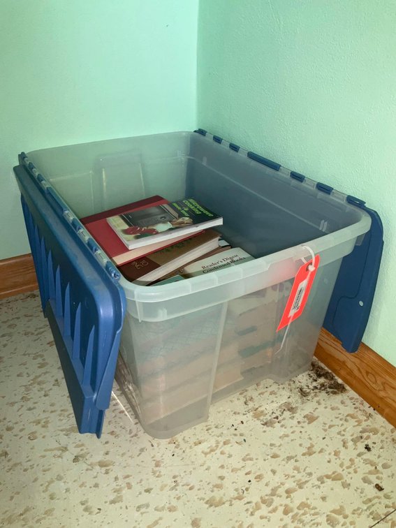 Covered tote & assorted books-Upstairs