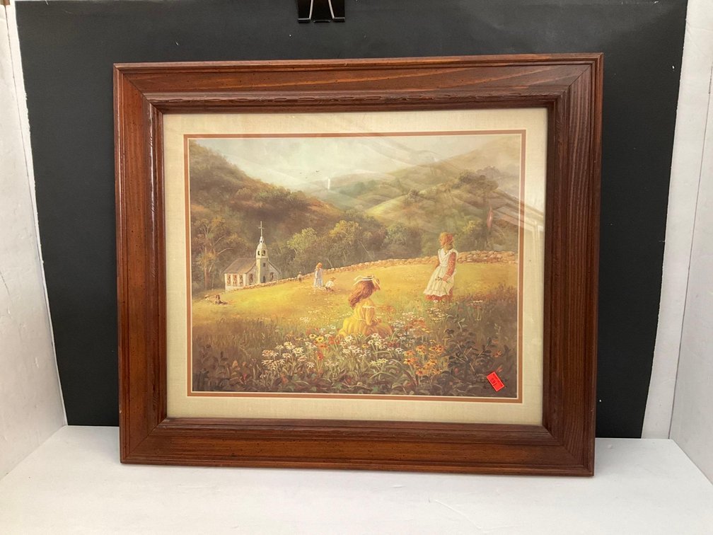 Framed decorator pictures 