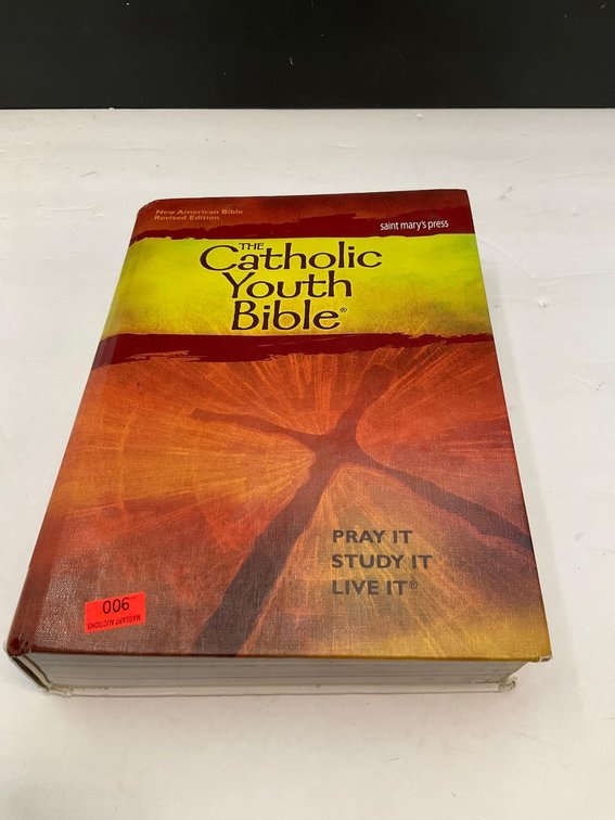 Catholic youth Bible 