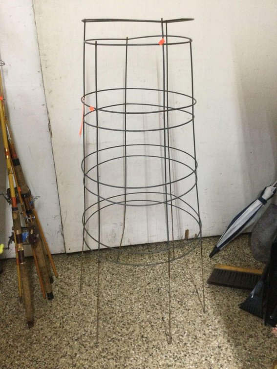 Tomato cage 