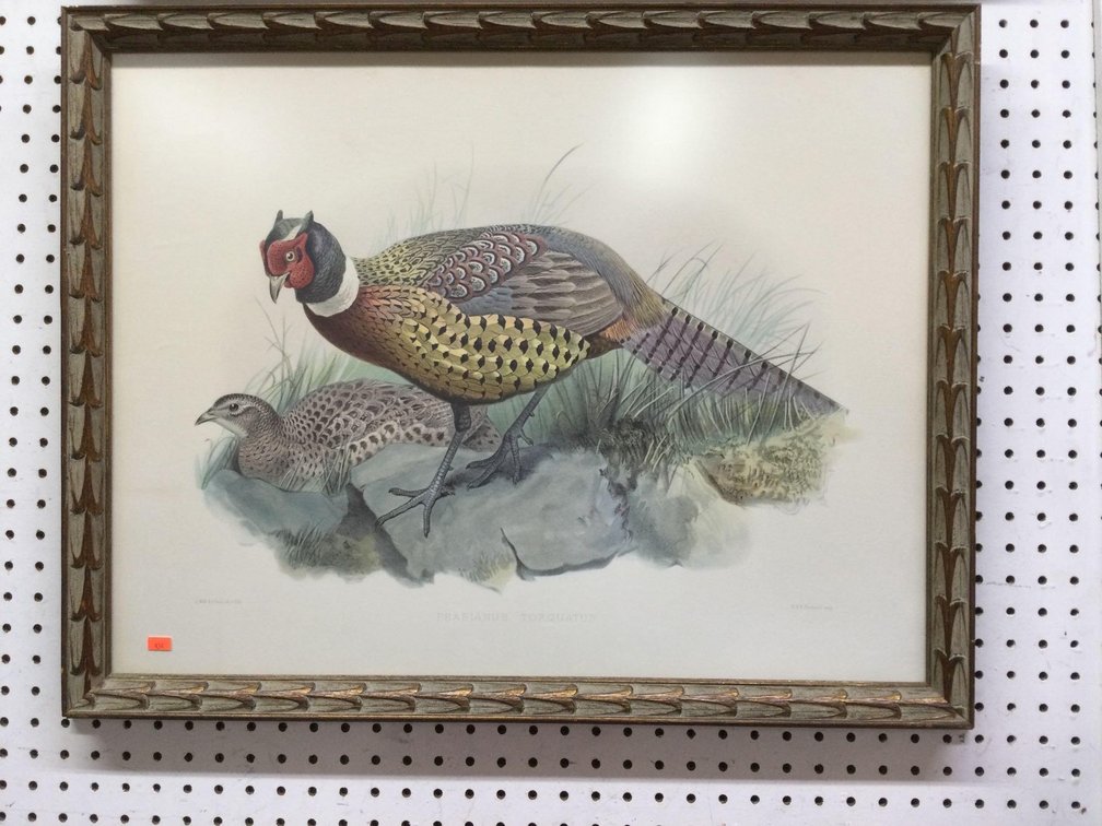 Framed pheasant picture 