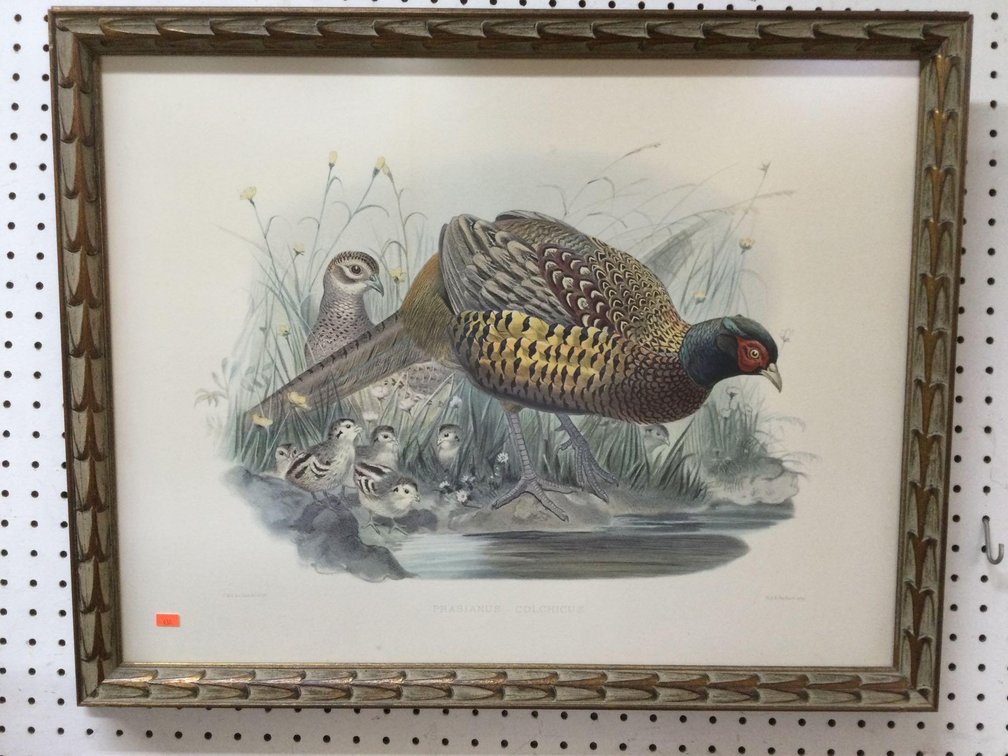 Framed pheasant picture 