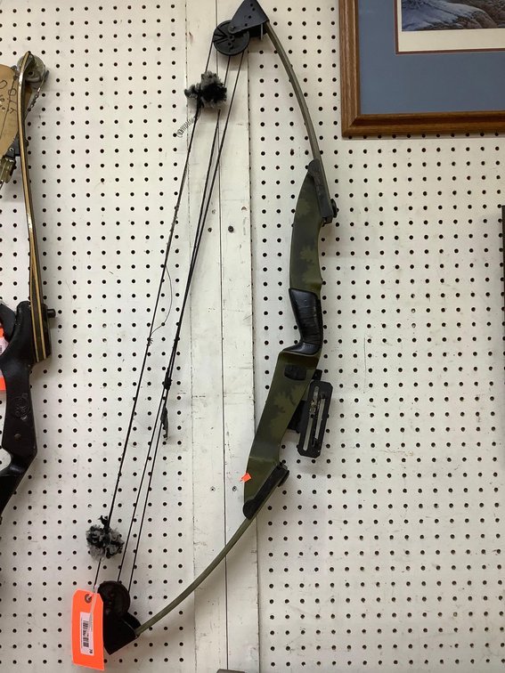 Compound bow 