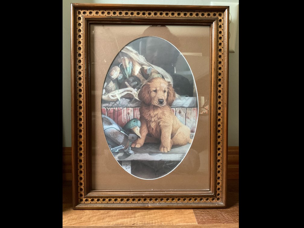 Image for Creekside Lane, Green Bay