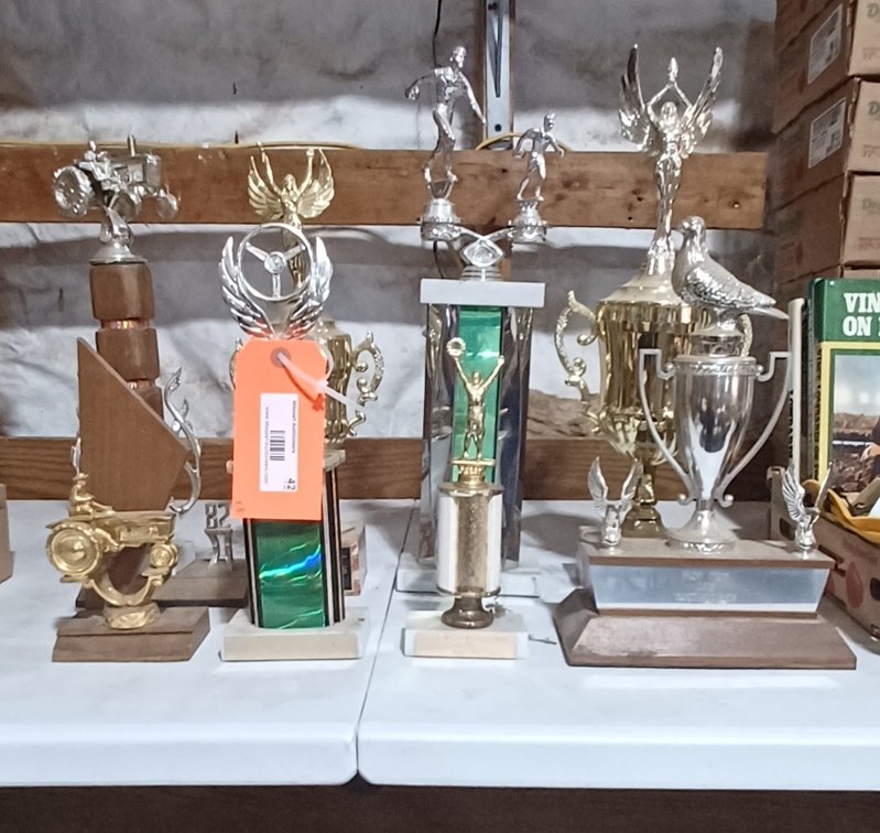 Trophys 8 ea - 2 Bar Olympics,Kayak, tractor pulling, bowling, 
