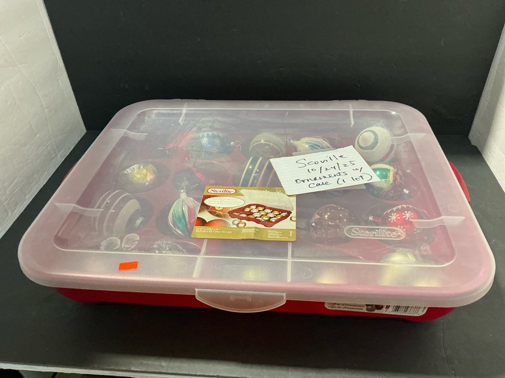 Ornaments in ornament case